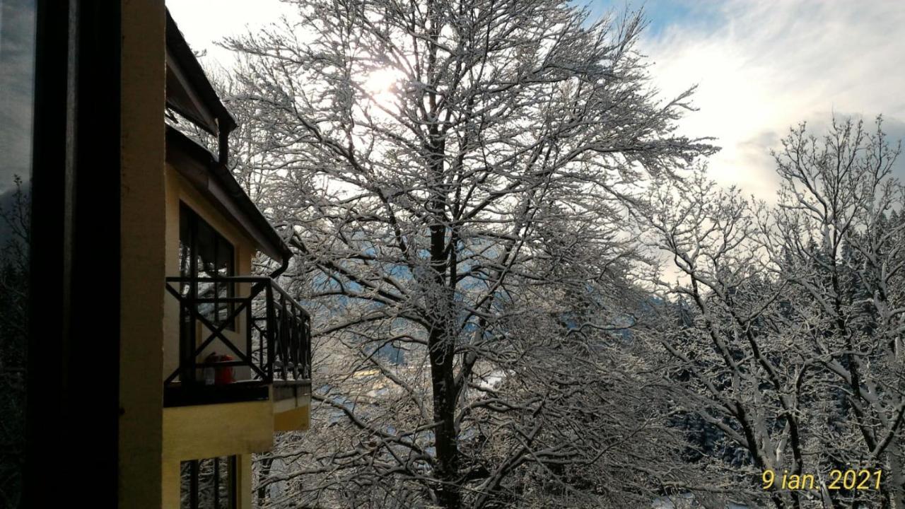 Pension Condor Poiana Brașov Exterior foto