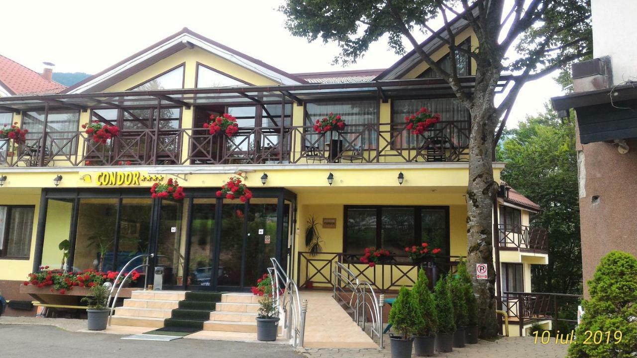 Pension Condor Poiana Brașov Exterior foto