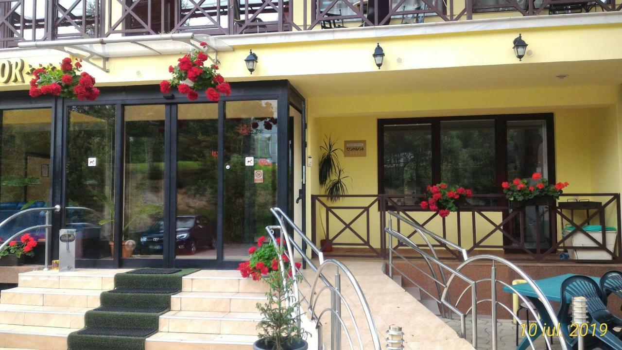 Pension Condor Poiana Brașov Exterior foto